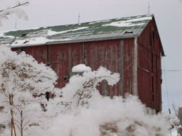 2009 Winter FunFly